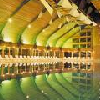 ✔️ Hévizi wellness hétvége ajánlat Hotel Carbona Hévíz ✔️ Hévizi wellness hétvége ajánlat Hotel Carbona Hévíz